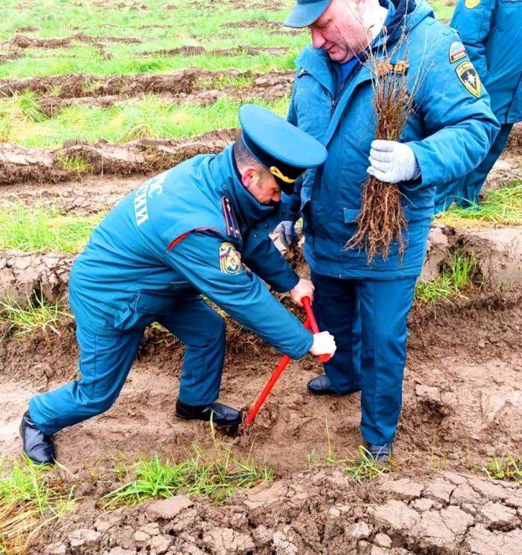 Сотрудники МЧС России вновь приняли участие в международной акции "Сад памяти"