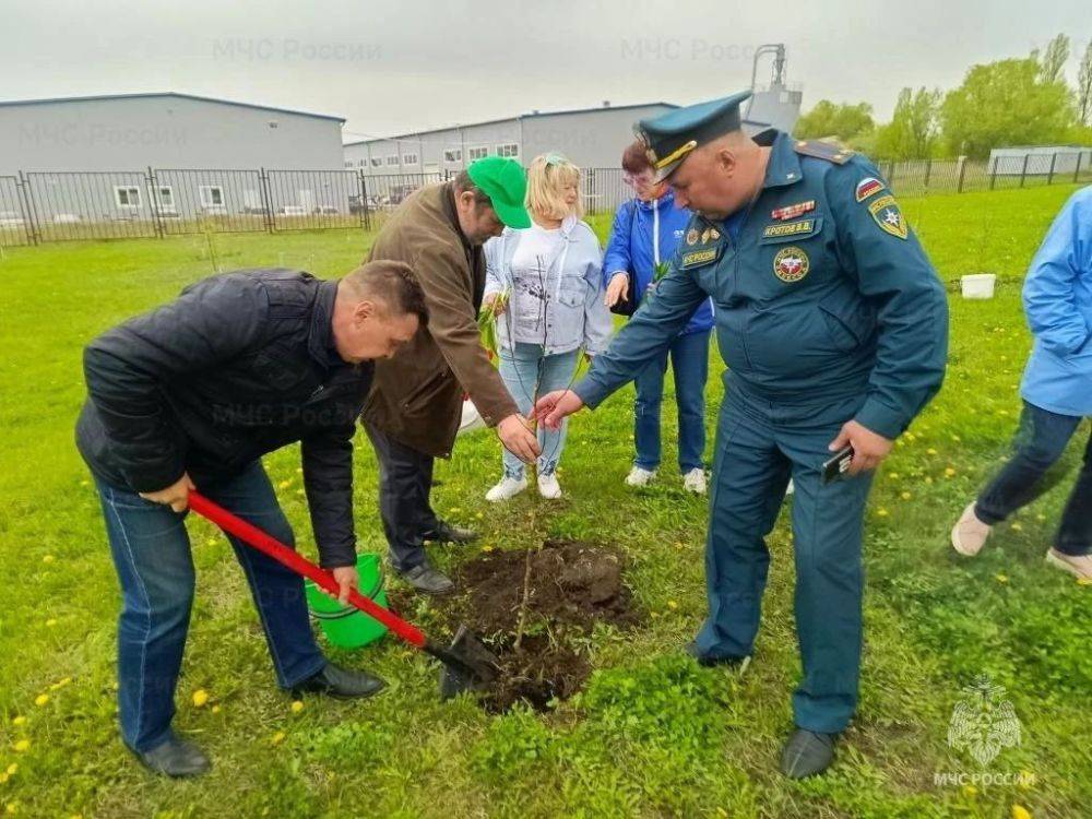 В честь приближающегося профессионального праздника – 375-летия пожарной охраны – сотрудники МЧС России и ветераны пожарной охраны высадили фруктовый сад