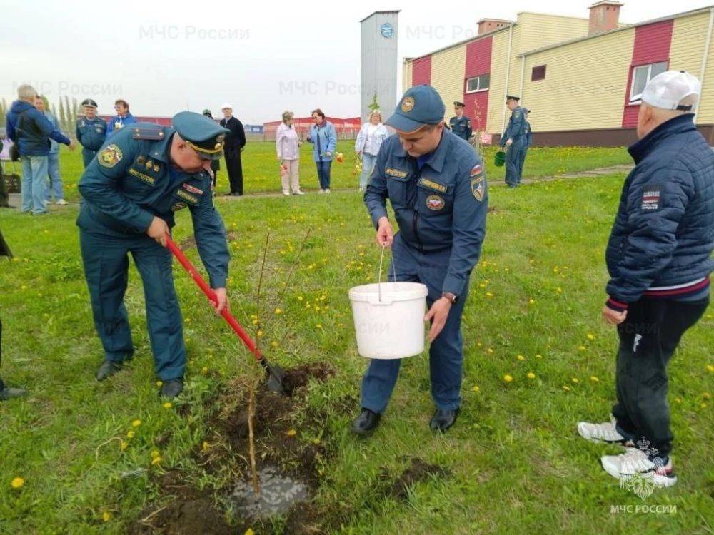 В честь приближающегося профессионального праздника – 375-летия пожарной охраны – сотрудники МЧС России и ветераны пожарной охраны высадили фруктовый сад