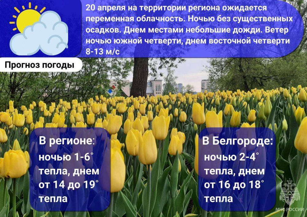 #ПрогнозПогоды. В субботу местами пройдут небольшие дожди