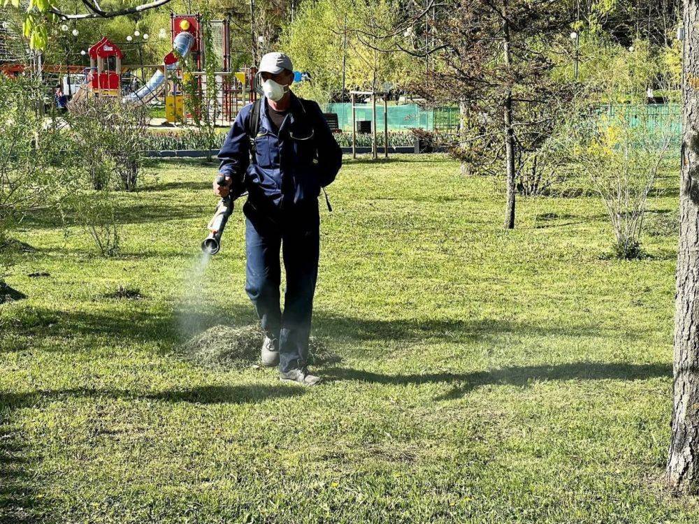 В Белгороде продолжают обрабатывать общественные места от клещей