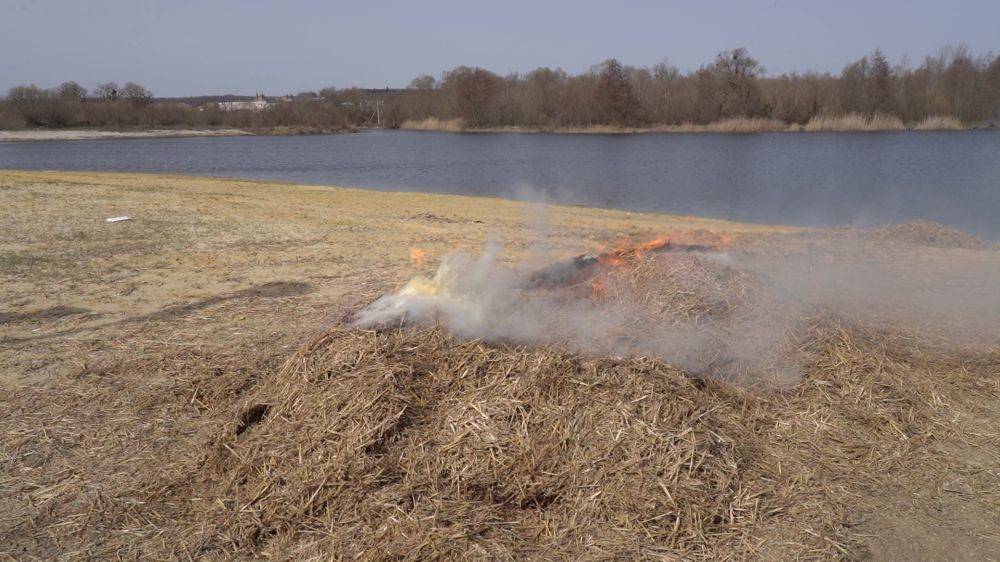 В Белгородской области ввели жёлтый уровень погодной опасности из-за сильного ветра