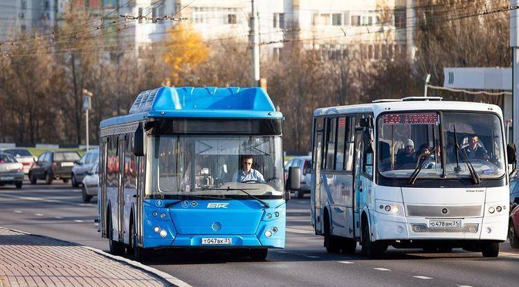 С сегодняшнего дня в Белгороде заработают дачные маршруты