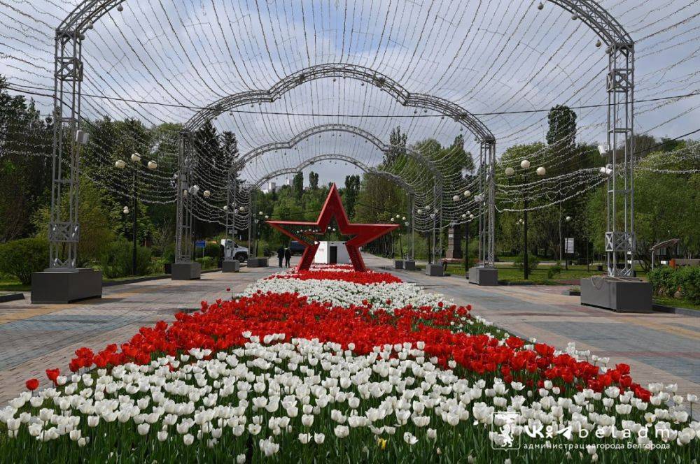 Парк Победы радует белгородцев своими яркими красками