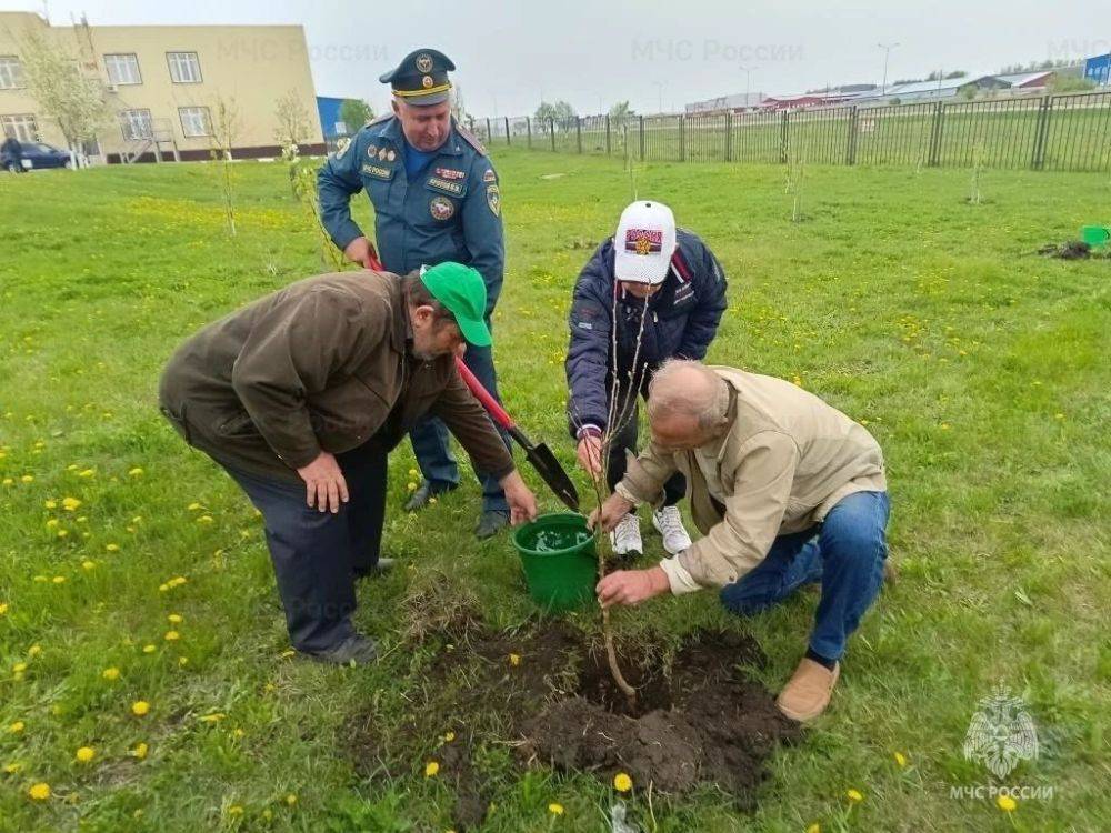 В честь приближающегося профессионального праздника – 375-летия пожарной охраны – сотрудники МЧС России и ветераны пожарной охраны высадили фруктовый сад