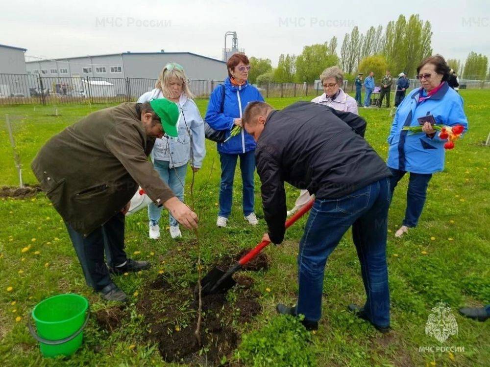 В честь приближающегося профессионального праздника – 375-летия пожарной охраны – сотрудники МЧС России и ветераны пожарной охраны высадили фруктовый сад