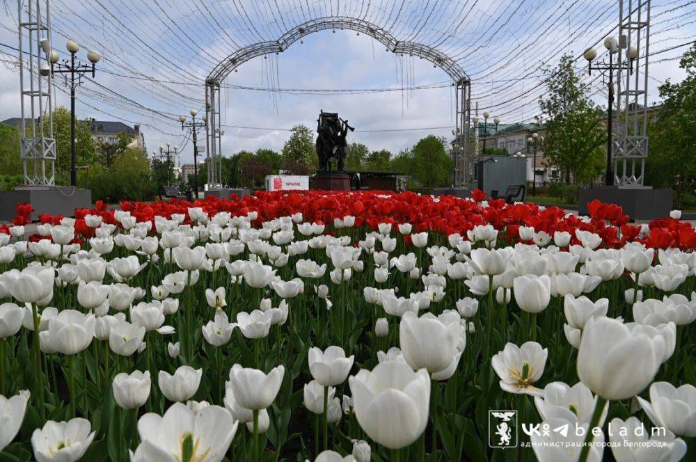 Парк Победы радует белгородцев своими яркими красками