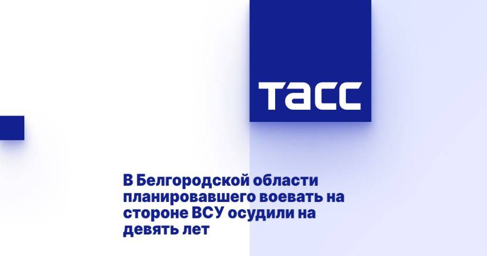 В Белгородской области планировавшего воевать на стороне ВСУ осудили на девять лет