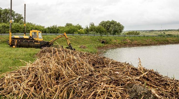 На белгородских водоёмах приостановили работы по очистке