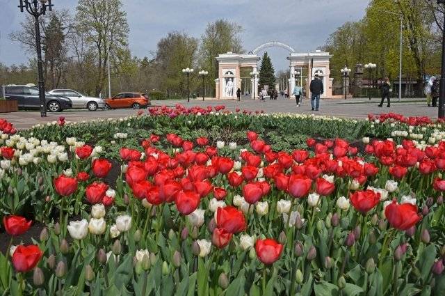 До 9 мая клумбы у памятников в Белгороде украсят однолетними цветами0