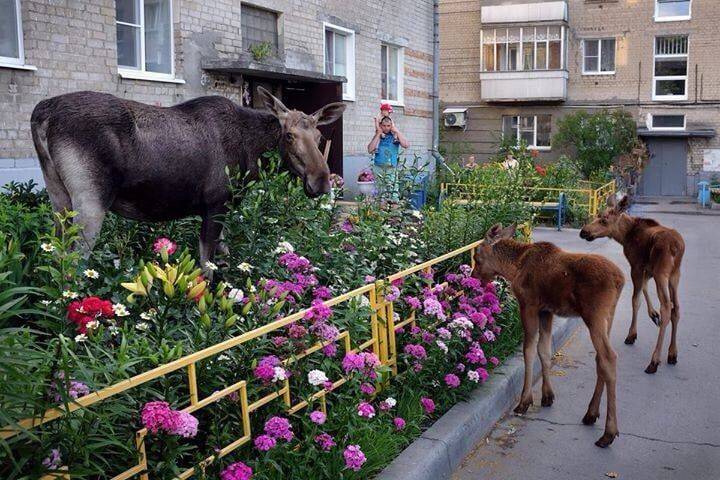 Вячеслав Гладков: Заехал в санаторий-профилакторий города Заречный, где сейчас гостят 35 детей из Белгородского района