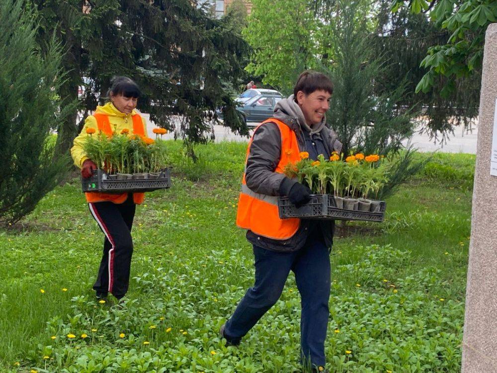 В Валуйках Белгородской области приступили к высадке весенних цветов и ландшафтному обустройству