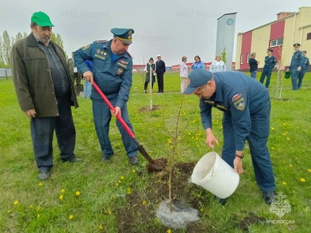 В честь приближающегося профессионального праздника – 375-летия пожарной охраны – сотрудники МЧС России и ветераны пожарной охраны высадили фруктовый сад