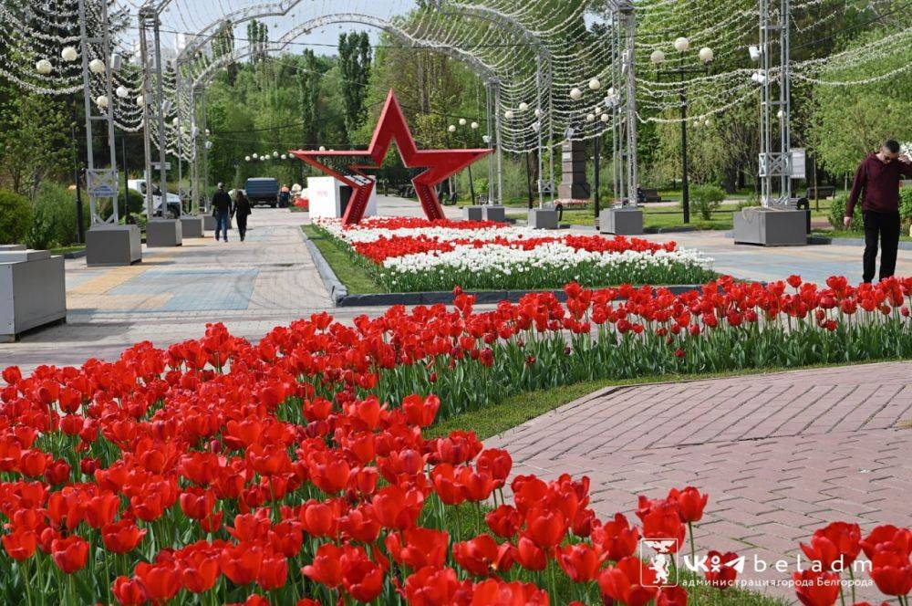 Парк Победы радует белгородцев своими яркими красками