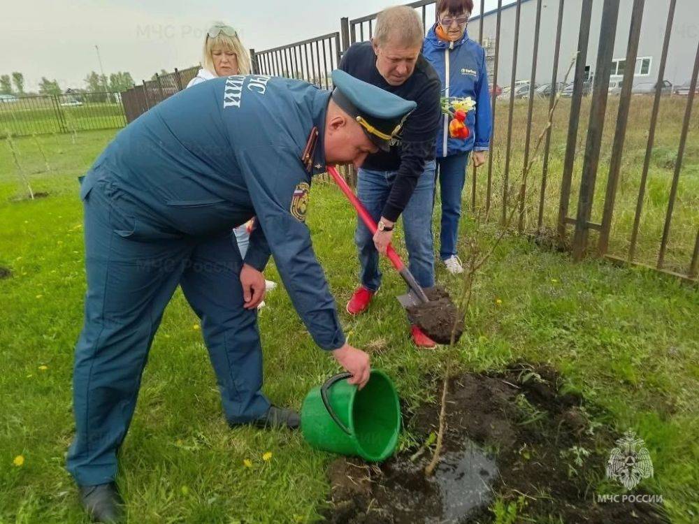 В честь приближающегося профессионального праздника – 375-летия пожарной охраны – сотрудники МЧС России и ветераны пожарной охраны высадили фруктовый сад