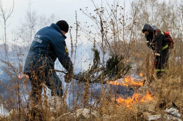 В Белгородской области введут особый противопожарный режим с 22 апреля0