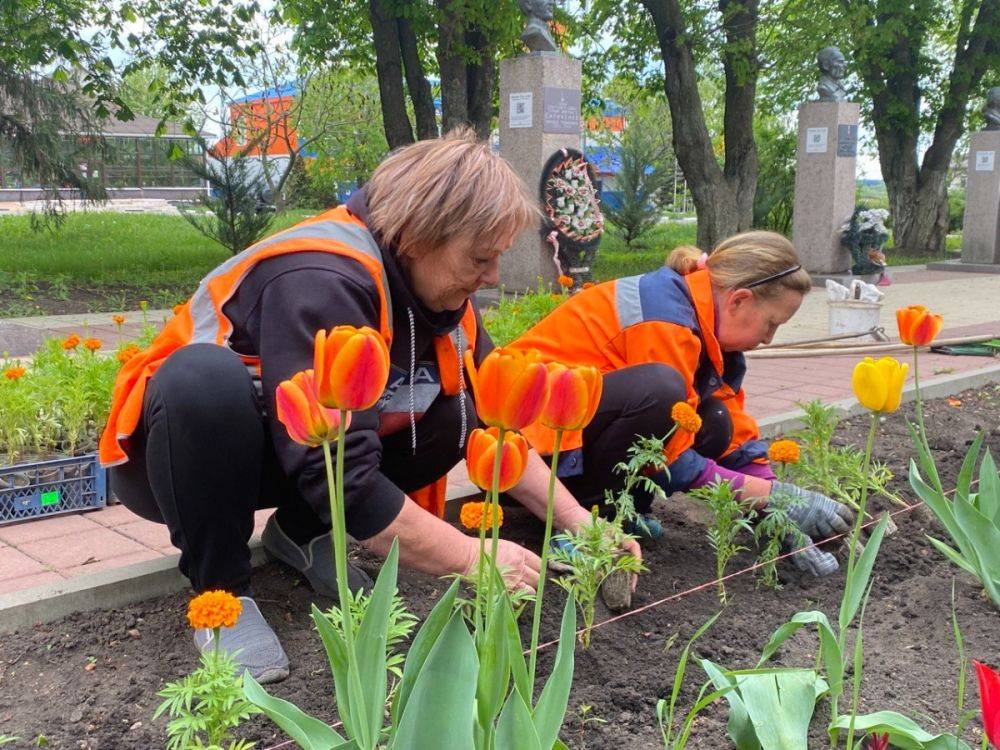 В Валуйках Белгородской области приступили к высадке весенних цветов и ландшафтному обустройству