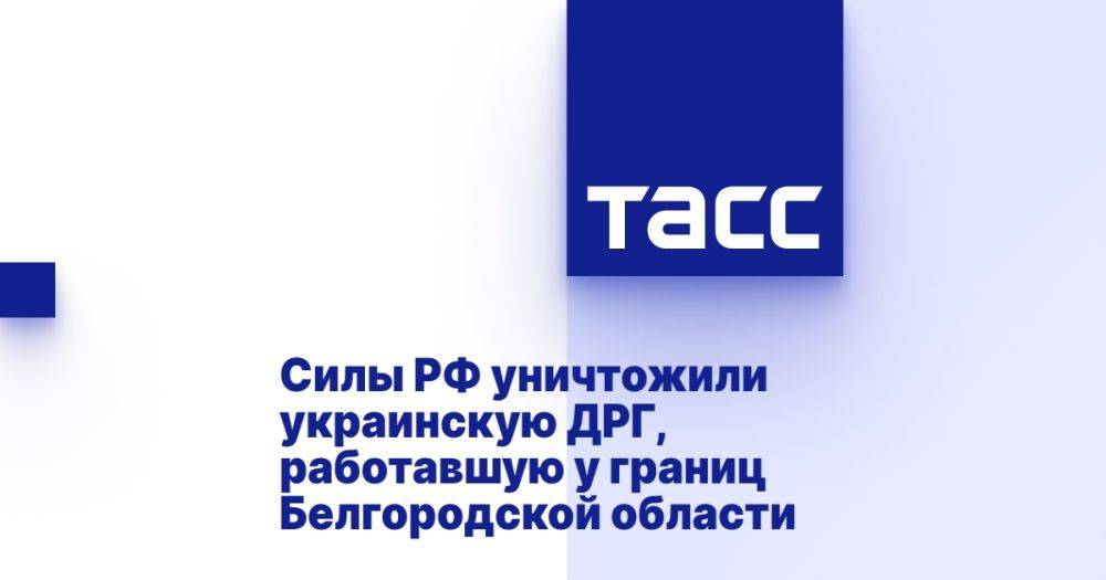 Силы РФ уничтожили украинскую ДРГ, работавшую у границ Белгородской области