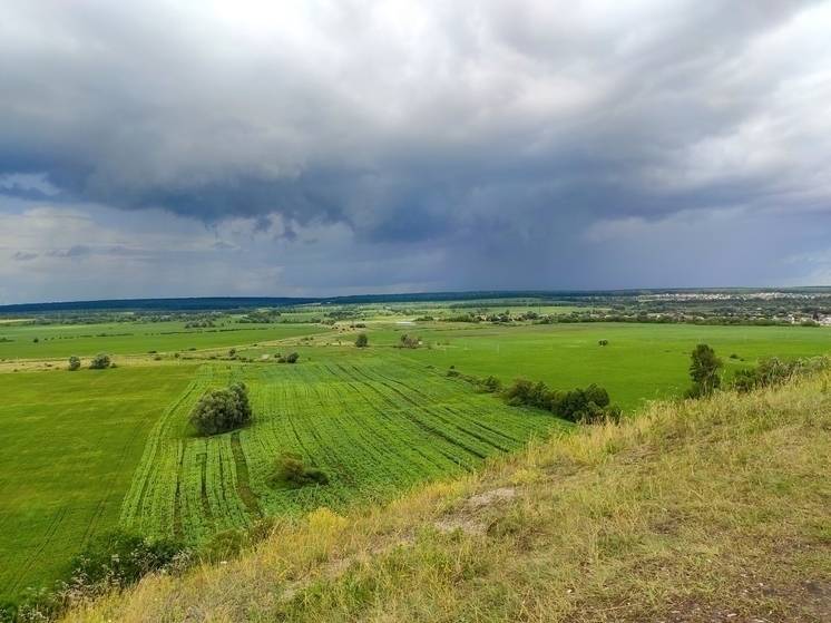 Гладков пригласил белгородцев поучаствовать в конкурсе «Агротуризм»