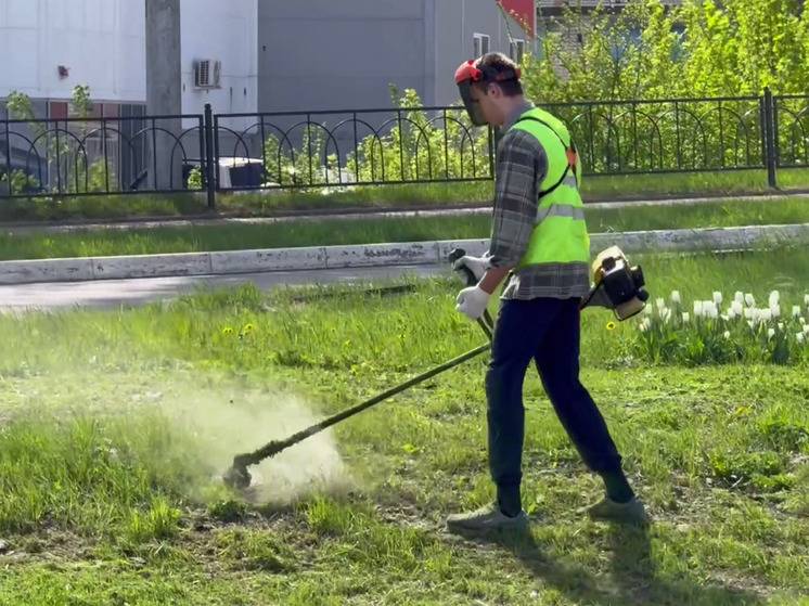 «Не успели полюбоваться зеленью»: белгородка – о раннем покосе травы