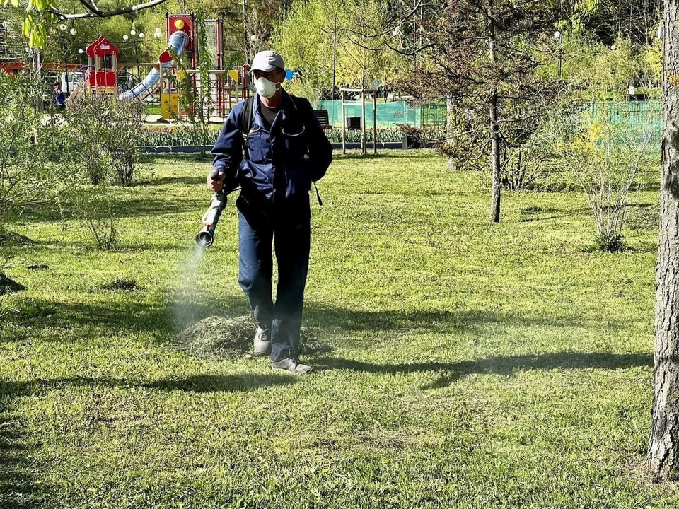 С начала марта в Белгородской области 250 человек укусили клещи0