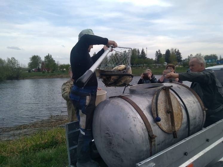 В Красненском районе запустили рыбу в два водоема