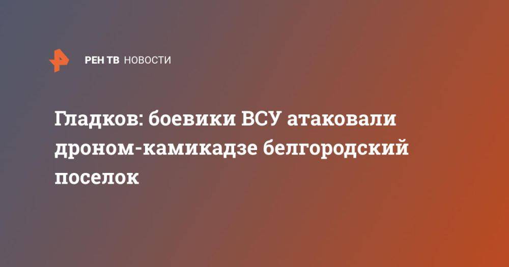 Гладков: боевики ВСУ атаковали дроном-камикадзе белгородский поселок