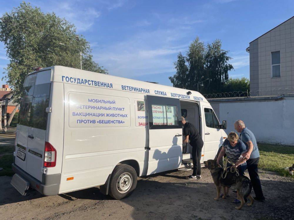 В Белгороде пройдёт бесплатная выездная вакцинация против бешенства