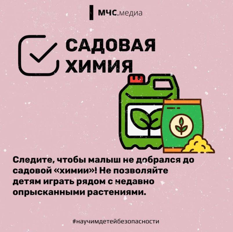 МЧС России и федеральный проект «Крепкая семья» открыли Неделю безопасности в Белгородской области