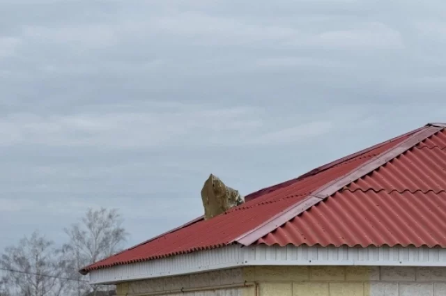 С 9 по 12 мая парковки в Белгороде сделают бесплатными1