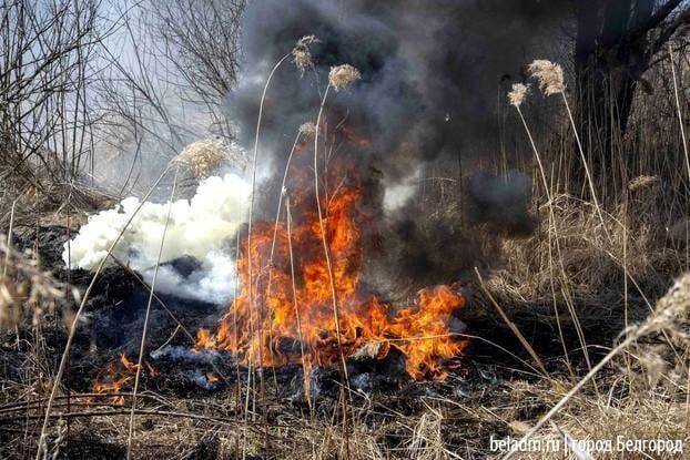 В Белгороде ликвидировали горение сухой травы