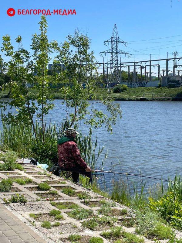 Белгородцы — сильные духом люди