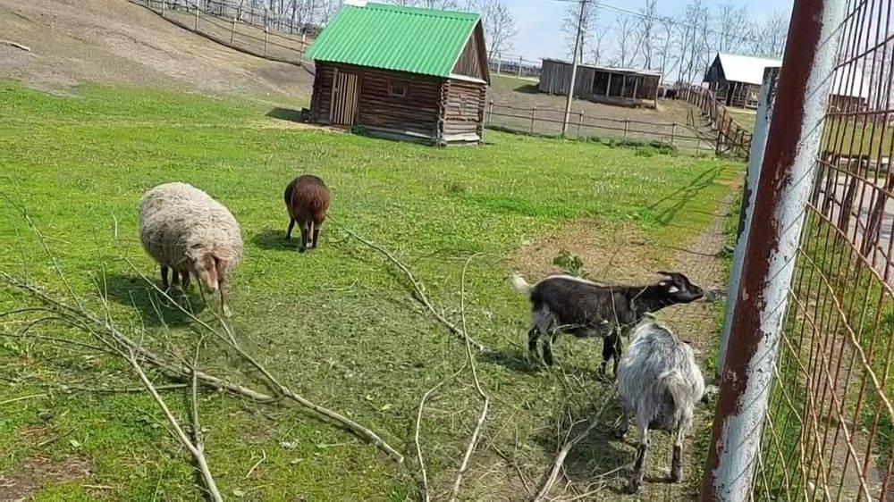 Погода 19 мая. В Белгородской области преимущественно солнечно