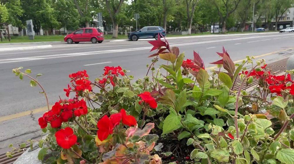 В Белгороде предпраздничный день