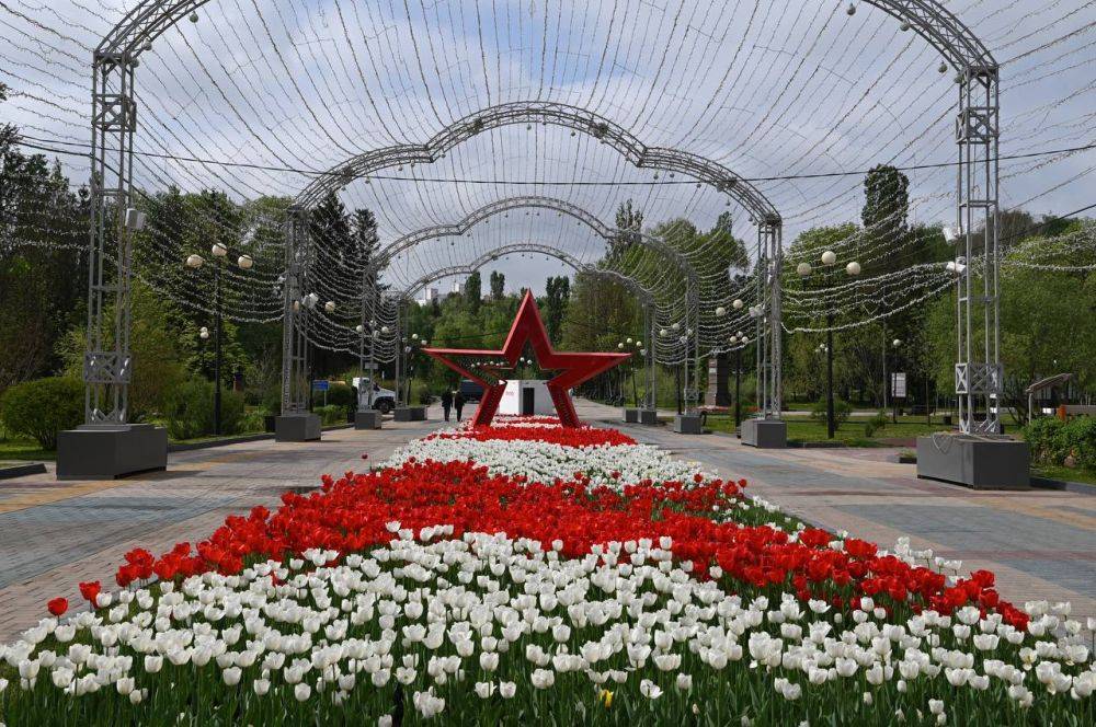 Доброе утро, белгородцы! В эти майские выходные хотим снова показать, как Белгород утопает в ярких красках тюльпанов