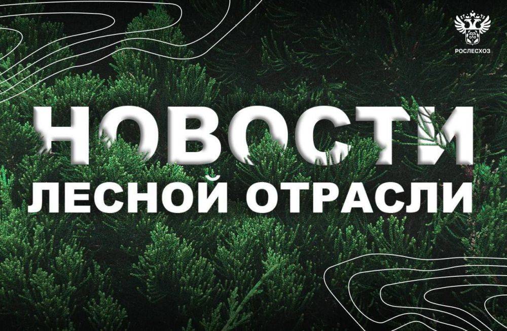 Интерфакс: В регионах Дальнего Востока зафиксировано 30 лесных пожаров - Рослесхоз