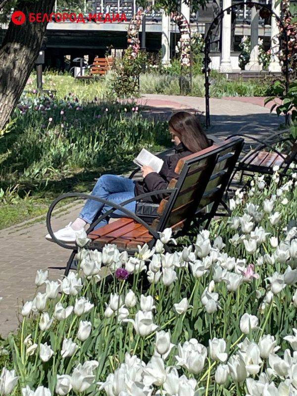 Белгородцы — сильные духом люди