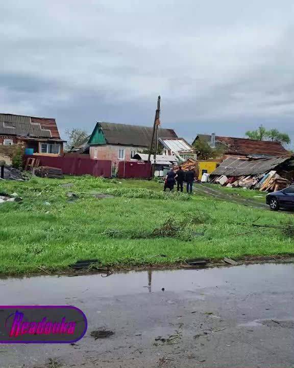 «Ветер, ветер, ты могуч»: в русские города пришел шквалистый ветер — стихия вырывает деревья, сносит хозпостройки и дачные участки