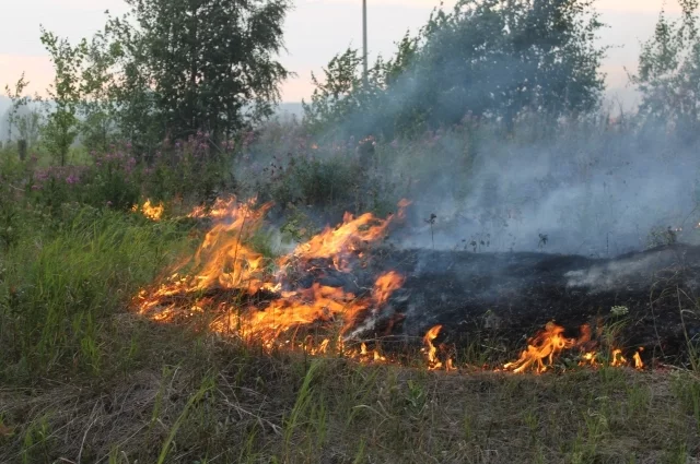 Из-за взрыва в Белгороде пострадали пять жителей1