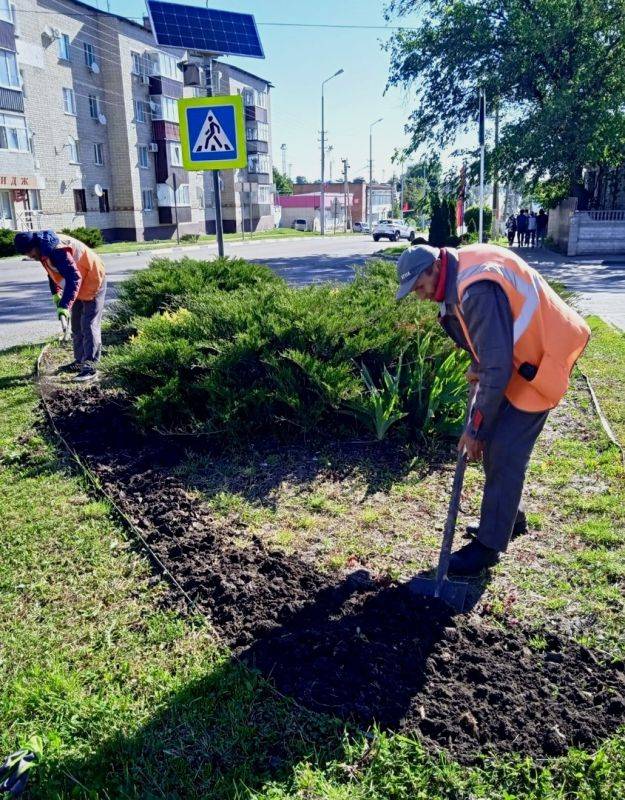 Специалисты приступили к озеленению территорий в посёлках Ракитное и Пролетарский Белгородской области