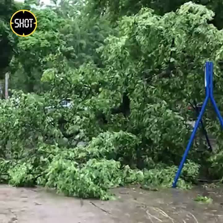 Мощнейший ураган в Воронеже — в нескольких районах города повалило деревья, у местного техникума снесло крышу, оборваны кабели