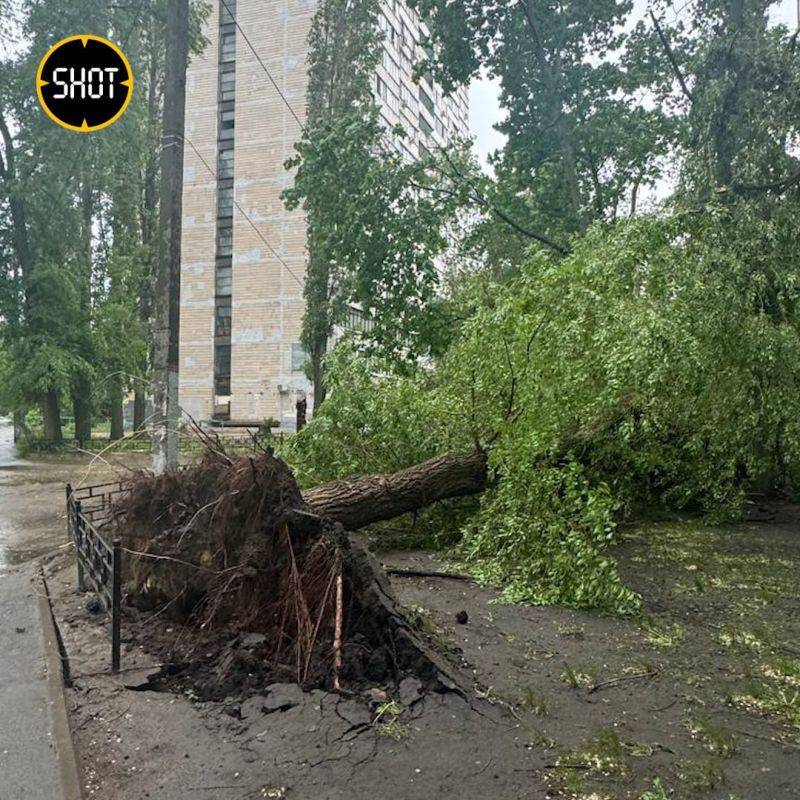 Мощнейший ураган в Воронеже — в нескольких районах города повалило деревья, у местного техникума снесло крышу, оборваны кабели