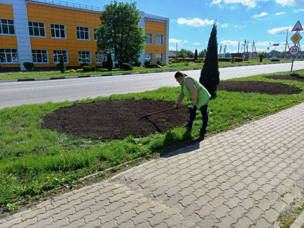 Специалисты приступили к озеленению территорий в посёлках Ракитное и Пролетарский Белгородской области