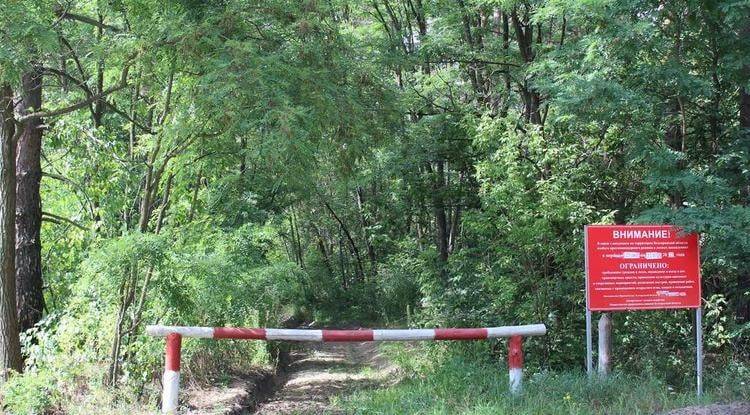 В Белгородской области продлили особый противопожарный режим по 2 июня