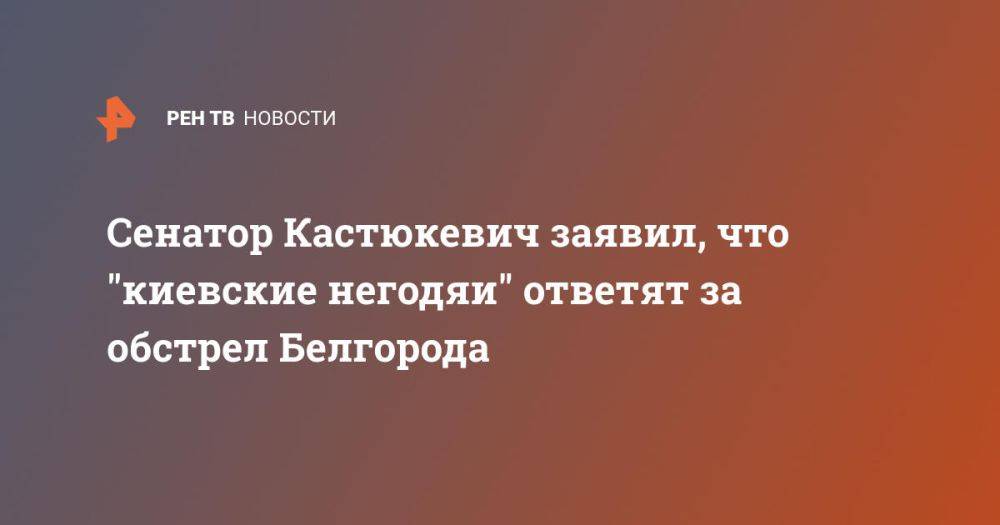 Сенатор Кастюкевич заявил, что "киевские негодяи" ответят за обстрел Белгорода