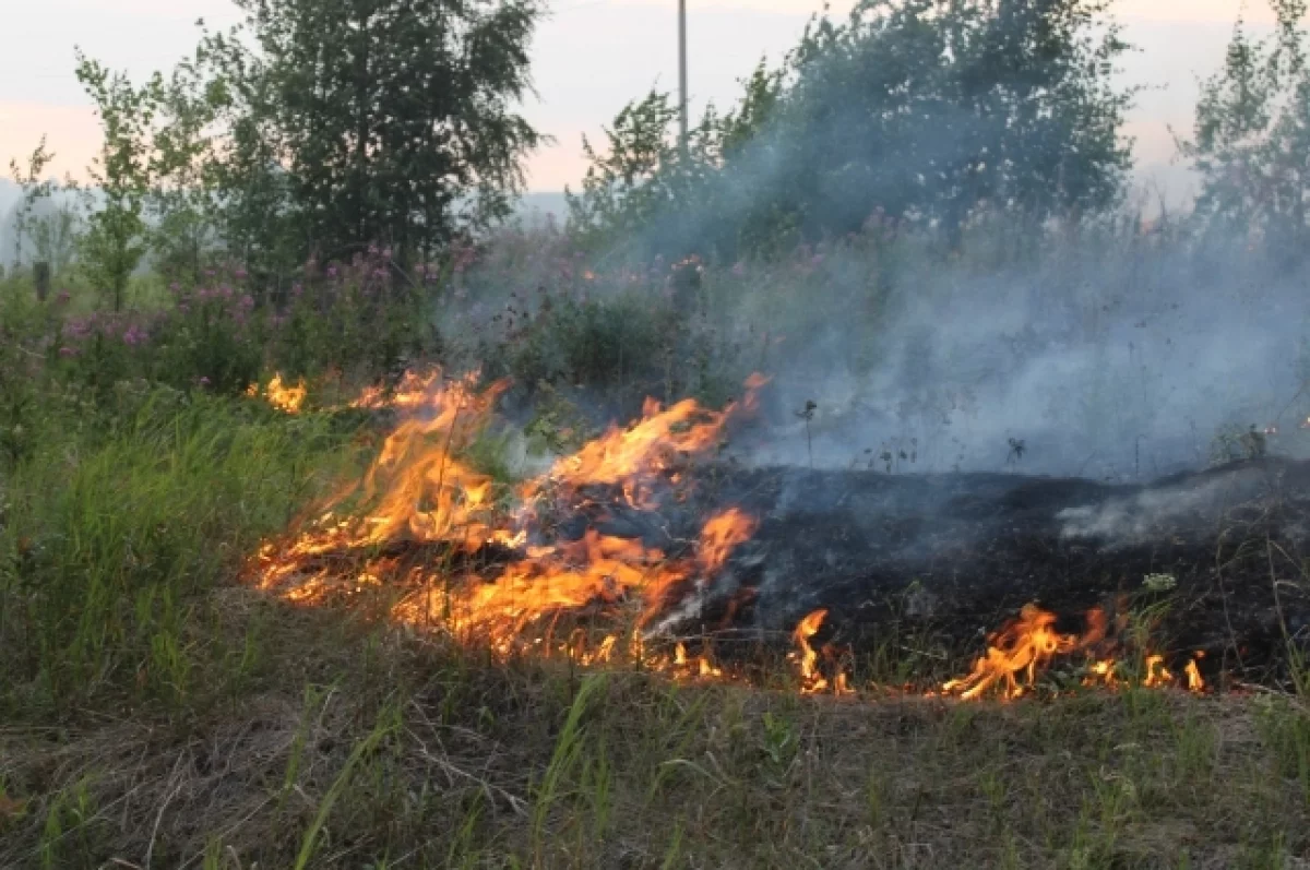 Белгородцев предупреждают об опасности пожаров0