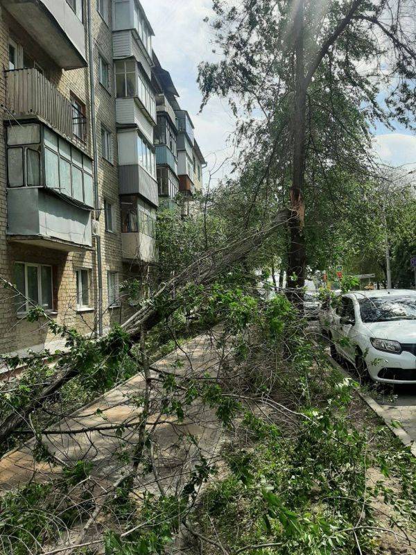 Белгород немного поштормило