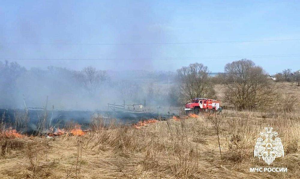 В Белгородской области введён максимальный (V) класс пожарной опасности