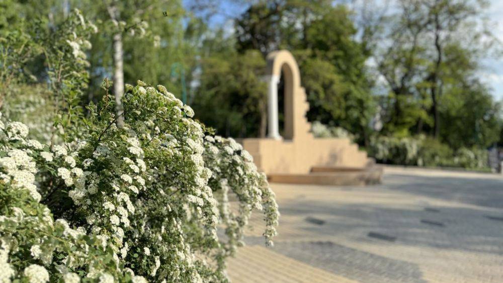 В центральном парке Белгорода появится новая входная группа, ещё один фонтан и креатив-таун