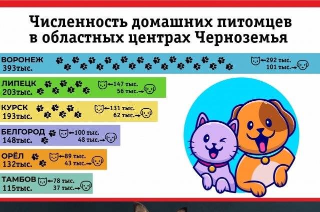 В Шебекино спасли собаку Бусю, которая неделю провела в закрытом гараже1